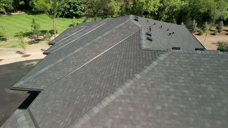 Best Roof Maintenance and Cleaning  in Shepherd, TX