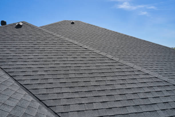 Best Storm Damage Roof Repair  in Shepherd, TX