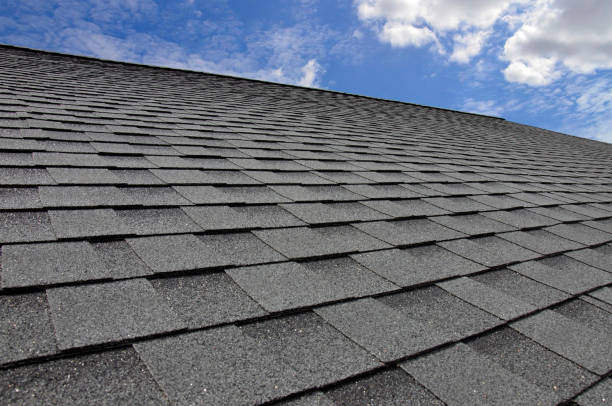 Best Gutter Installation and Repair  in Shepherd, TX